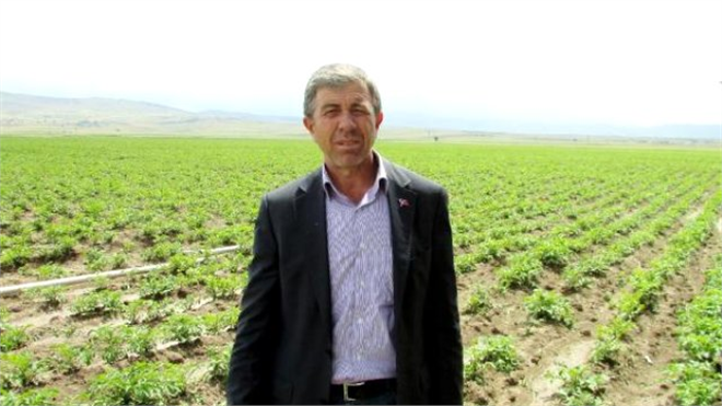 Patates Ambarı Sandıklı da Hasat Gecikti