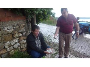 Osmaneli de Ceviz Büyüklüğünde Dolu