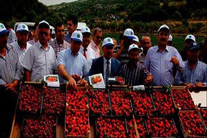 Organik tarım umut veriyor