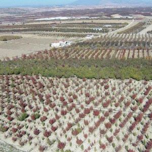 Korkuteli nde 56 Bin 860 Dekar Tarım Alanı Suya Kavuşuyor