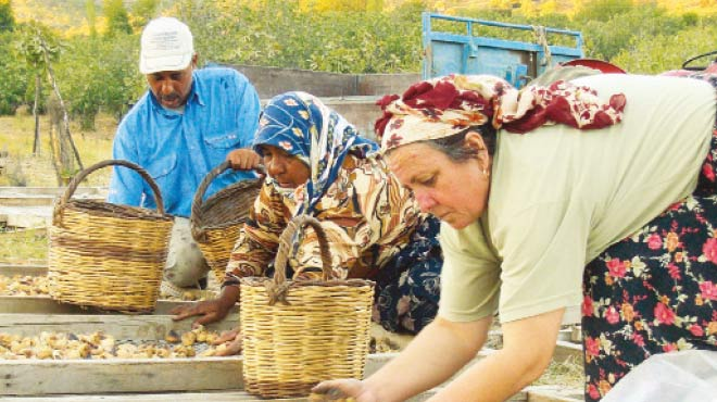 735 tarım işletmesinden 2 6 milyar liralık yatırım