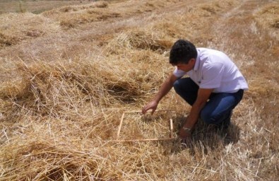 Dalaman da Biçerdöver Kontrolleri Başladı