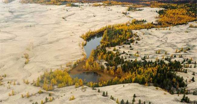 Çin Sibirya da tarım arazisi kiralıyor