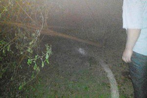 Akçakale de çıkan fırtına tarım alanlarına zarar verdi