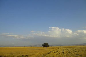 Konya Ovası suya doyacak