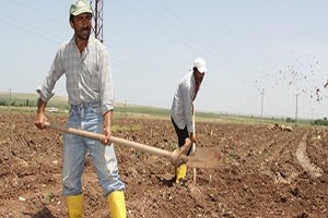 Tarım göçüne arazi önlemi