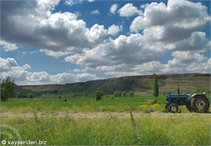 Kayseri de Mera Alanları Islah Amacıyla Kiralanıyor