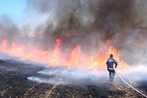 Anız Yakan Çiftçilere Ceza Kapıda