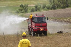 Seydişehir de Çekirgeler İlaçlanıyor