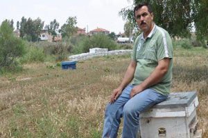 Çalınan Kovanları Bulana 2 Bin Tl Ödül