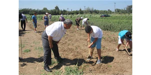 Öğrenciler Sebze Üretmeyi Öğreniyorlar