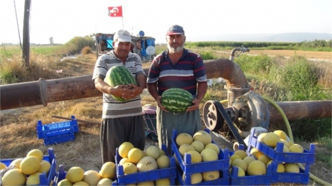Kavun ve Karpuz Üreticileri İsyanda