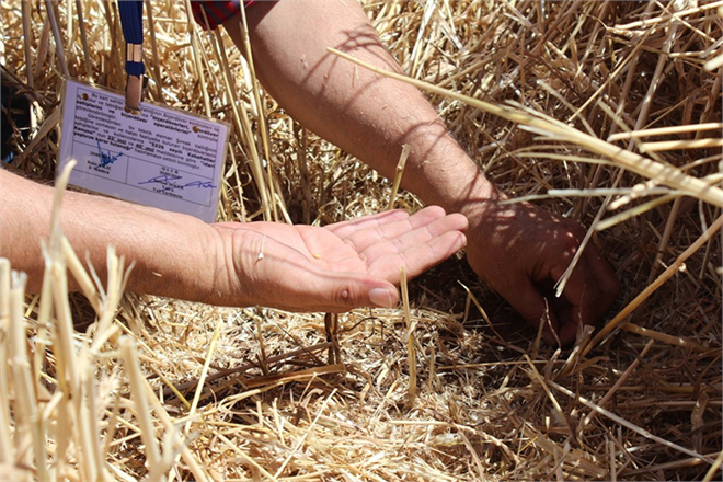 Dane Kaybı Yapanlara Ceza Verilecek