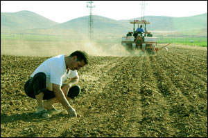 Çiftçiler Bayrama Buruk Giriyor