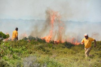 Aydın da Tarım Arazisinde Yangın