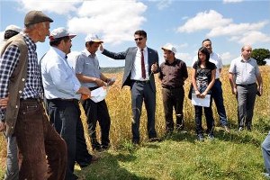 Kütahya nın 305 bin hektar tarım arazisi var