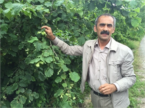 Küf Hastalığı İçin İlaç Uyarısı