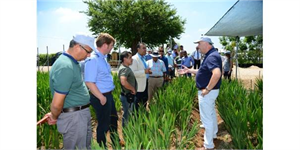 Adana Yeni Çiçek Türlerine Kucak Açıyor