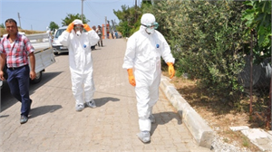 Kuş Gribinde Korkulan Oldu