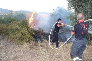 Aydın da İtfaiye Ekipleri Yangından Yangına Koştu
