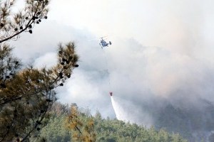 100 Hektarlık Alan Zarar Gördü