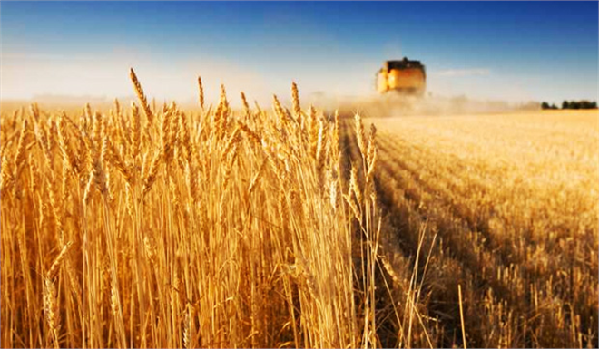 Tarım da Tehlike Çanları Çalmaya Başladı