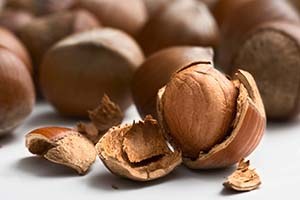 Dünyanın İlk Fındık Borsası Giresun da Kuruluyor