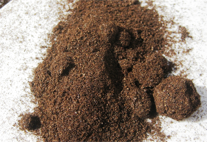 Mucize Gübre Yarasa Gübresi Bat Guano