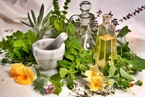 Zeytinburnu Tıbbi Bitkiler Bahçesinde 700 Çeşit Bitki Türü Koruma Altında