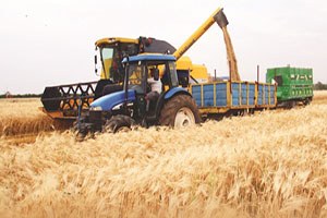 Türkiye tohumda merkez oluyor