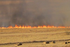 Kulu da Anız Yangını