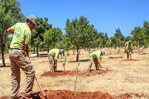 Şehitkamil Belediyesi nin Örnek Projesi Meyve Verdi