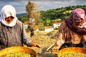 Tarım Ve İnsan Konulu Yarışma Başvuruları Başladı