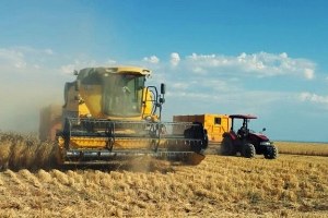 Buğday Hasadı Çiftçinin Yüzünü Güldürdü
