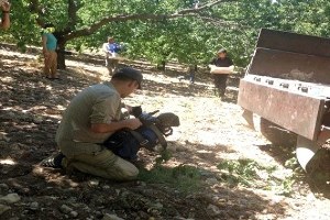 France 2 Tv Kayısının Belgeselini Çekti