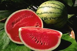 Ürün Tarlada Kaldı Karpuz Fiyatları Dip Yaptı