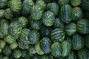 Ödemiş te Karpuz Fiyatı Dibe Vurdu