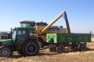 Eskişehir de Hasat Zamanı