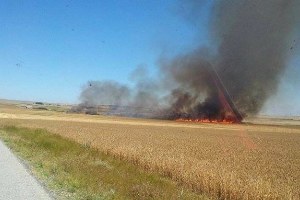 Sorgun da Karga 100 Dekarlık Ekili Arazinin Yanmasına Sebep Oldu