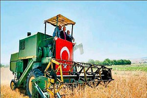 Haymana da hasat bayramı