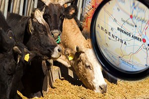 DTÖ den Arjantin e iyi haber