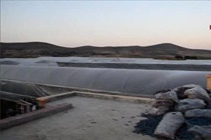 Çubuk un Dev Serasında İlk Ürün