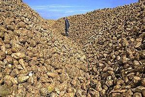 Şeker stokları talebi karşılar