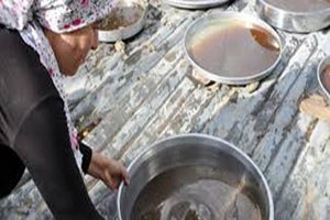 Dut ve Pekmez Şenliği Düzenlendi