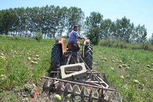 Savaş ve Operasyonlar Kavun Karpuz Üreticisini de Vurdu