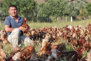 Özgür Tavuklar ın Yumurtasını Gagak Markasıyla Sofraya Taşıdı