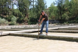 Sağanak Balık Çiftliklerine Zarar Verdi