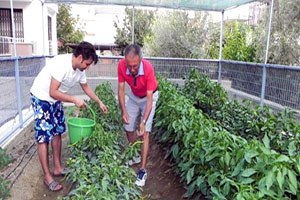 Apartmana Hobi Bahçesi Kurdu