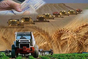 Kırsal Kalkınmadan Bursa ya 3 Milyon 22 Bin 452 TL lik Hibe