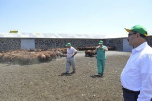 DAP ta besicilik açılımı